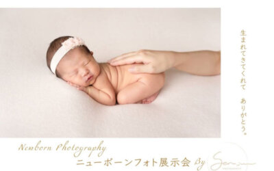ニューボーンフォト展示会